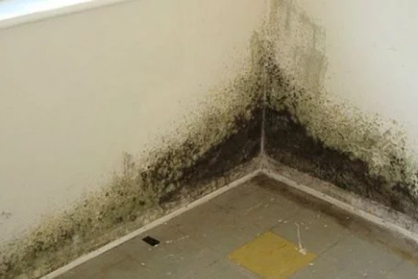Nhà loang lổ, ố vàng vì tôi quên chống thấm chân tường 20180822141209-a6bf-nha-loang-lo-o-vang-vi-toi-quen-chong-tham-chan-tuong