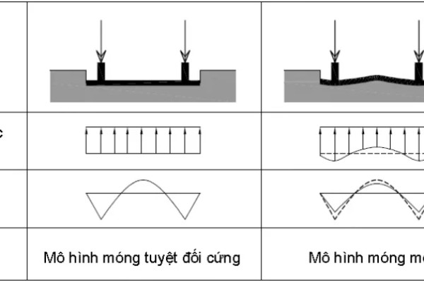 xxe2y-nhxe0-nhx1ea5t-x111x1ecbnh-phx1ea3i-bix1ebft-rxf5-nhx1eefng-lox1ea1i-mxf3ng-cx1a1-bx1ea3n-sau-4-xay-nha-nhat-dinh-phai-biet-ro-nhung-loai-mong-co-ban-sau
